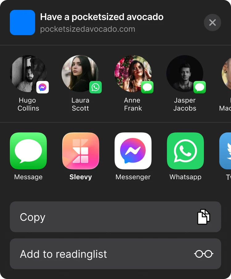 iOS Share sheet with Sleevy available as a save destination